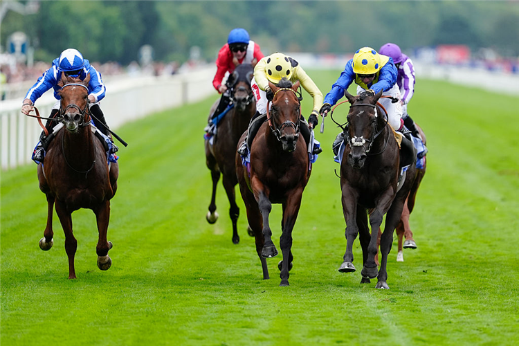 NEVER SO BRAVE (blue/yellow cap) winning the City Of York Stakes at York in England.
