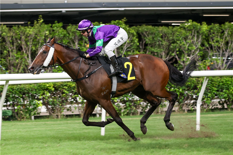 NEVER TOO SOON winning the HEREFORD HANDICAP