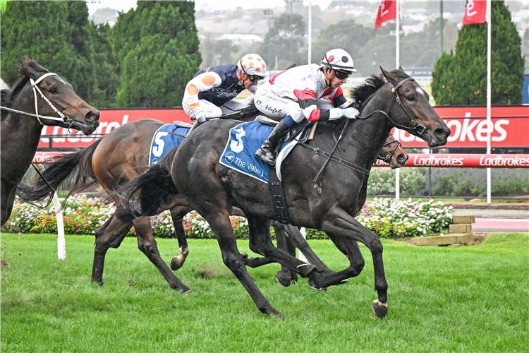 NEW YORK LUSTRE winning the FRS FIRE Services Handicap at Moonee Valley in Australia.