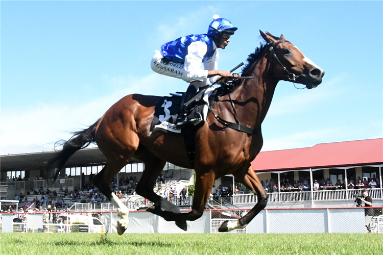 NIGELLA LANE winning the LOCKWOOD COROMANDEL PENINSULA THAMES CUP