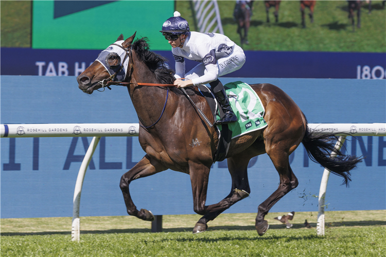 NKOSI winning the TAB HANDICAP