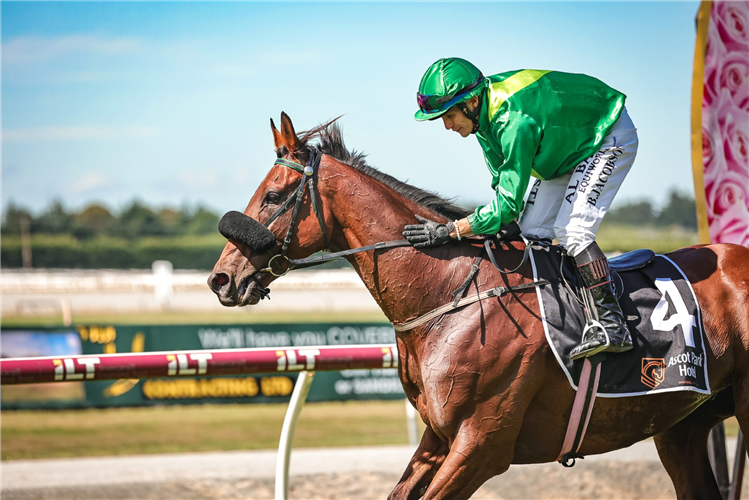 NOBLE KNIGHT winning the BAILLIE & LEWIS PHARMACY INVERCARGILL GOLD CUP