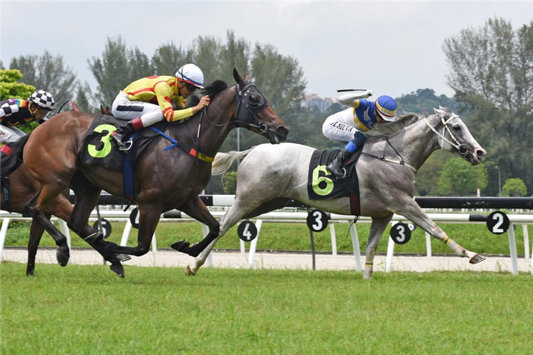 NORTHERN STAR winning the May 03 2025 Selangor Meeting Race 4 (299)