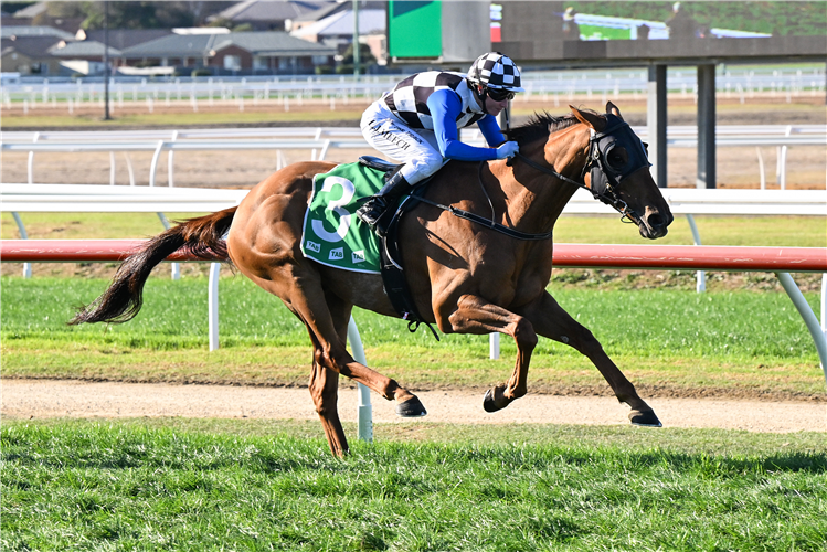 NOT USUAL GLORIOUS winning the KIA Handicap at Warrnambool in Australia.