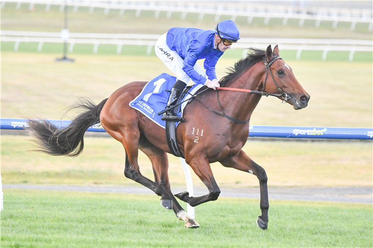 OBSERVER winning the Tile Importer Handicap at Sandown in Australia.