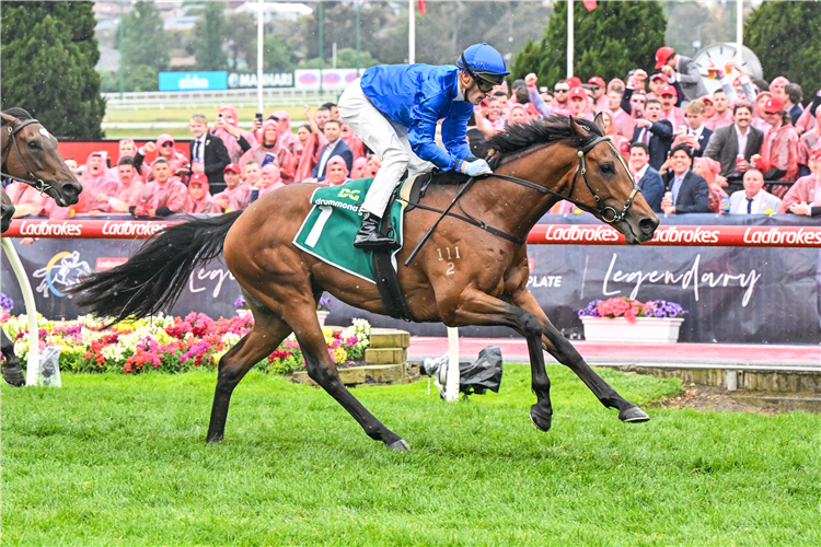 OBSERVER winning the Vase at Moonee Valley in Australia.