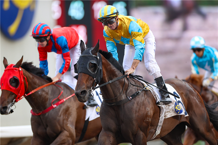 OLDTOWN winning the THE YAN CHAI TROPHY (HANDICAP)