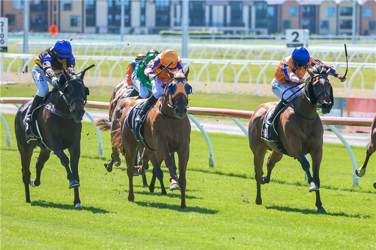 ORIGIN OF LOVE winning the WAR DECREE STAKES