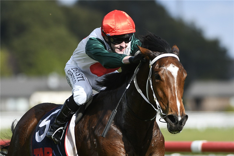 ORTEGA winning the PROPERTY BROKERS TAUMARUNUI 3YO