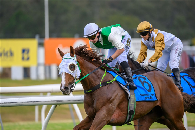 OUGHTON winning the BARRIER REEF POOLS EYE LINER STAKES - LISTED at Ipswich in Australia.