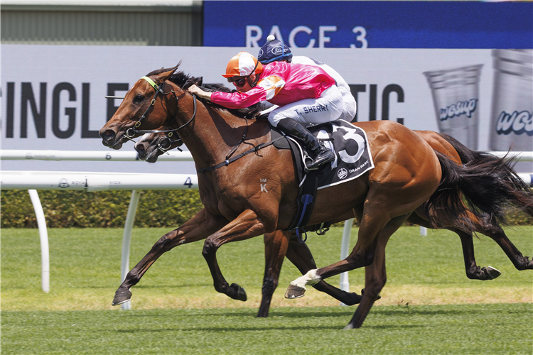 OUI OUI OUI winning the ORAN PARK MIDWAY HANDICAP
