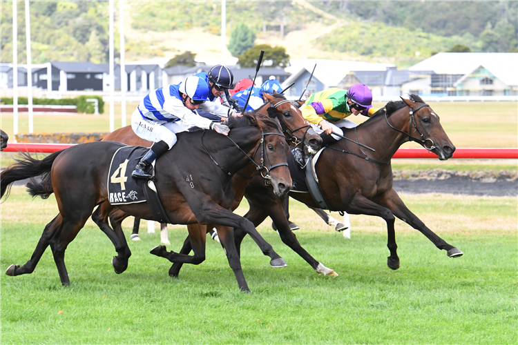 OUR JUMALA winning the WENTWOOD GRANGE CUDDLE STAKES