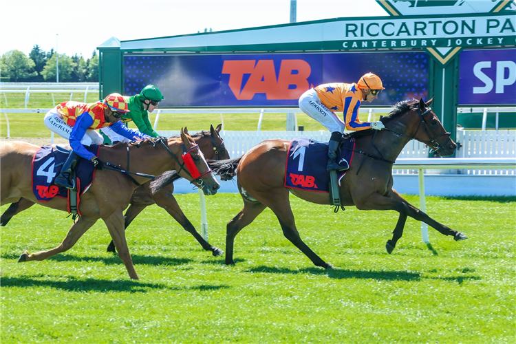 Out Of The Blue winning the Entain/NZB Insurance Pearl Series (800m) at Riccarton on Saturday.