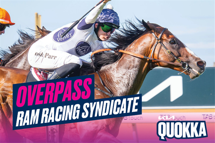 Overpass Quokka promotional image