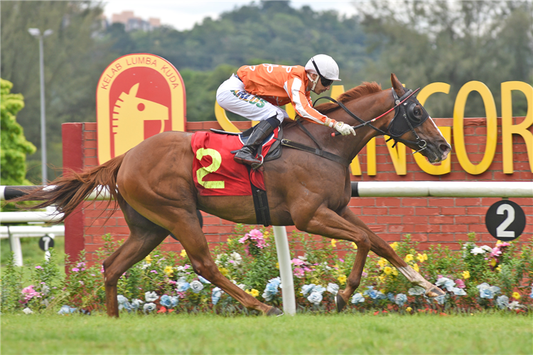PACIFIC PADRINO winning the May 04 2025 Selangor Meeting Race 9 (315)