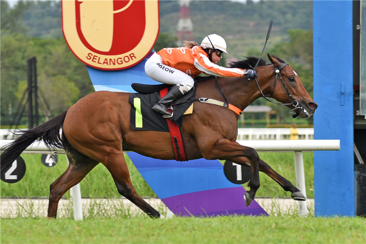 PACIFIC VAMPIRE winning the Aug 17 2025 Selangor Meeting