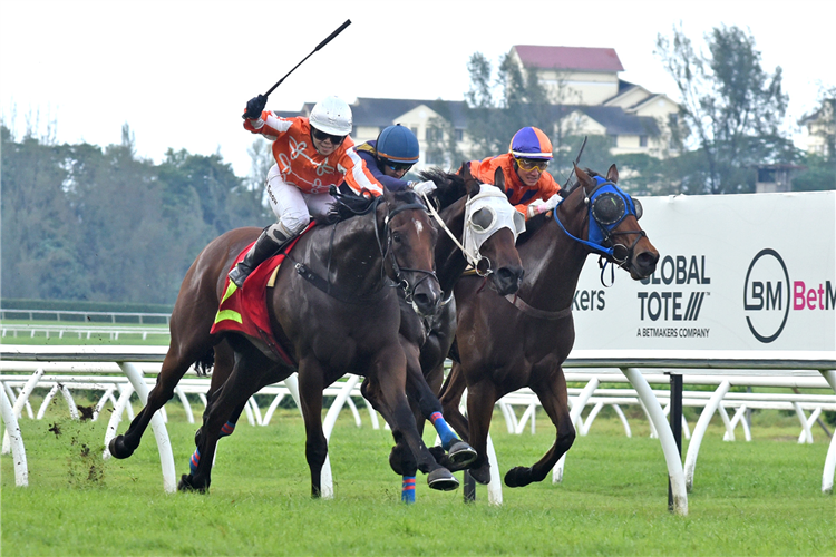 Pacific Victory, Honesty (centre) and Antipodean (inside) battling it out