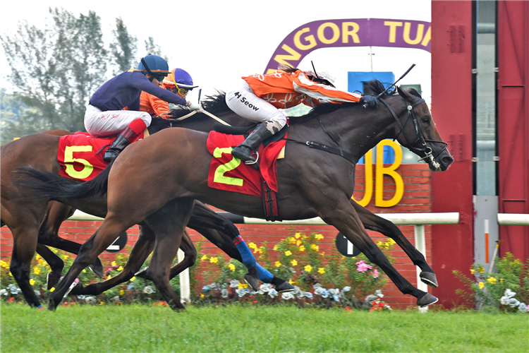 PACIFIC VICTORY winning the Jun 15 2025 Selangor Meeting Race 9 (420)