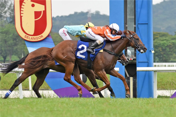 PACIFIC WARLORD winning the May 18 2025 Selangor Meeting Race 11 (350)