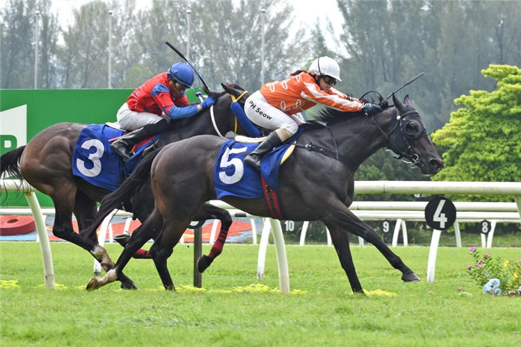 PACIFIC WARRIOR winning the May 18 2025 Selangor Meeting Race 5 (344)