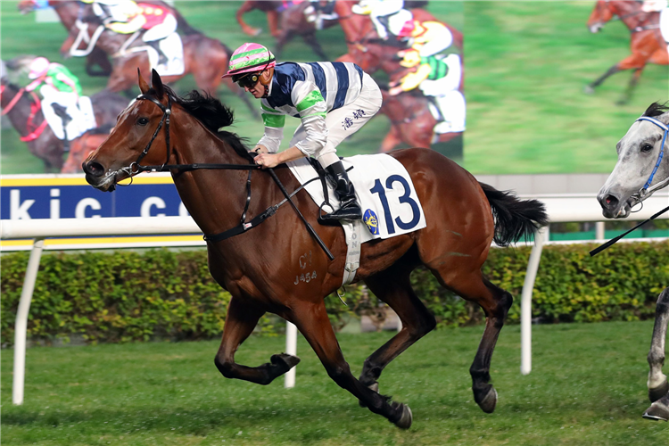 PACKING ANGEL winning the BROADWOOD HANDICAP