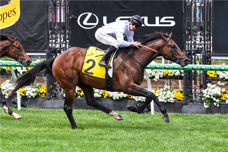 PALLATON winning the The Schweppervescence Plate at Flemington in Australia.