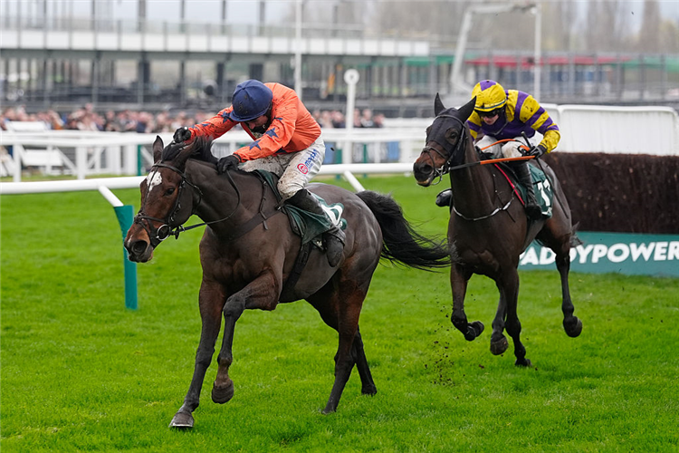 PANIC ATTACK winning the Gold Cup Handicap Chase at Cheltenham in England.