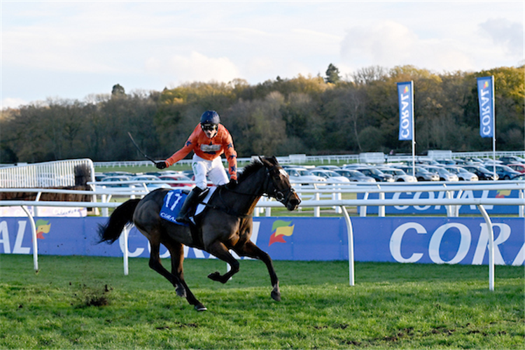 PANIC ATTACK winning the Gold Cup Handicap Chase at Newbury in England.