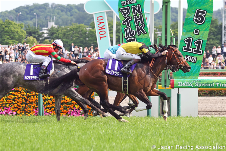 PANJA TOWER winning the NHK Mile Cup at Tokyo in Japan.