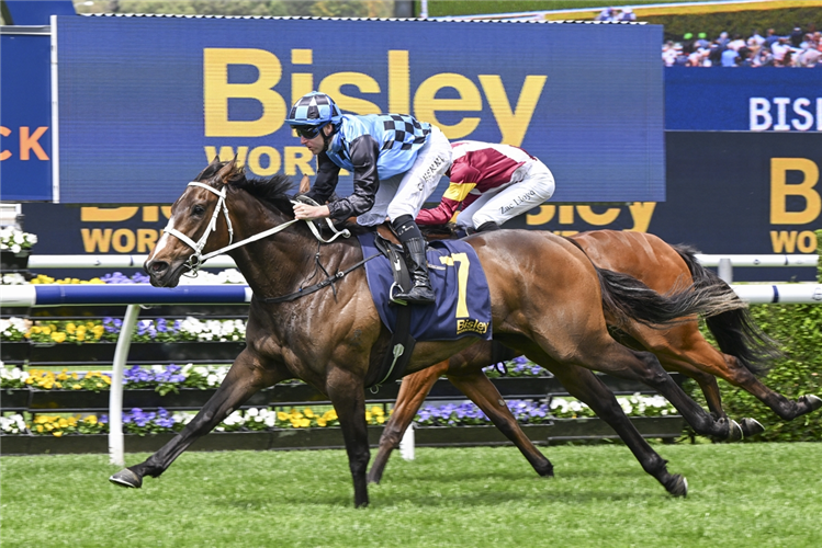 PANOVA winning the BISLEY WORKWEAR REGINALD ALLEN QUALITY at Randwick in Australia.