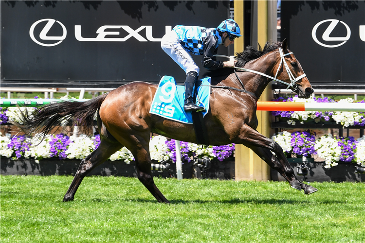 PANOVA winning the Carbine Club Stakes at Flemington in Australia.