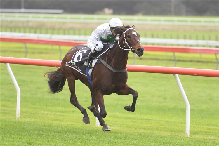 PARADIS winning the AQUASHIELD ROOFING MAIDEN