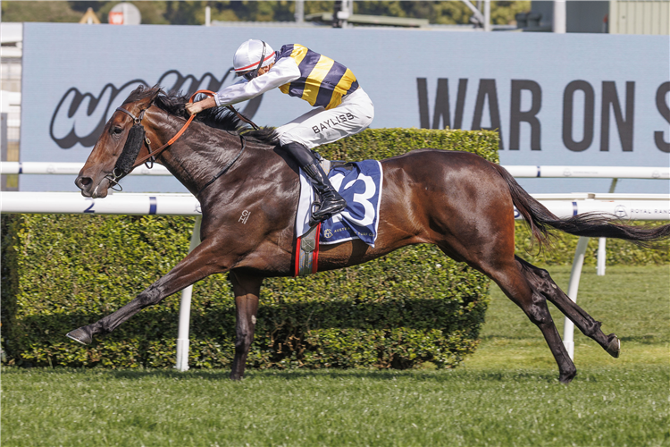 PERFUMIST winning the MELBOURNE STORM MILE