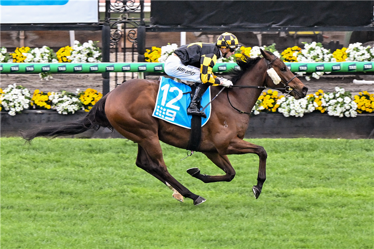 PERSIAN SPIRIT winning the Channel 9 Trophy at Flemington in Australia.