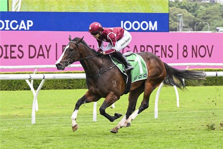 PETTICOAT winning the TAB HIGHWAY HANDICAP at Randwick in Australia.