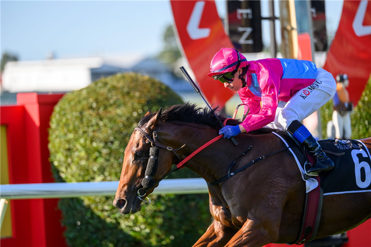 PHILIA winning the ANZ BLOODSTOCK NEWS THE ROSES - GROUP 2 at Doomben in Australia.
