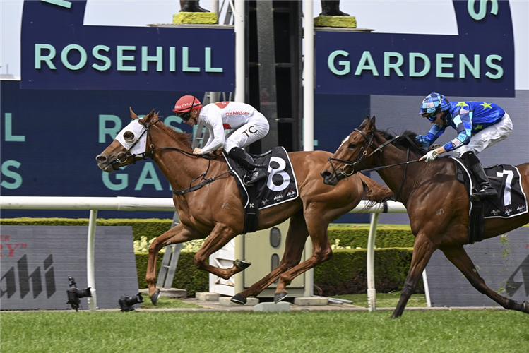 PIGGYBACK winning the ASAHI SUPER DRY COLIN STEPHEN QUALITY at Rosehill in Australia.
