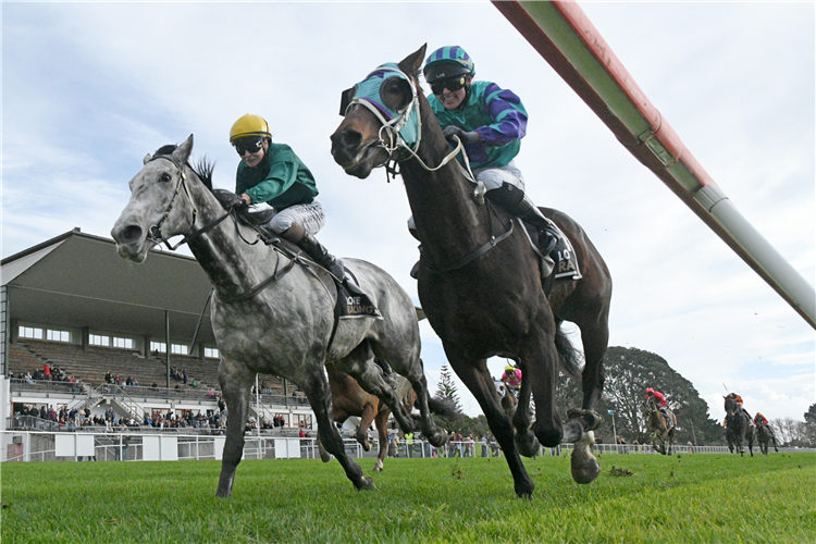 Piper's Son (inside) fights back to beat the favourite Boomtown Boy in the Raukawa Cup.
