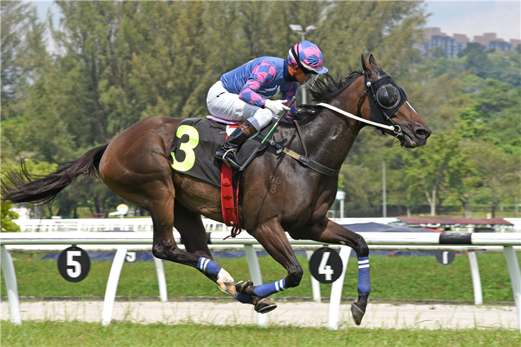 PLATINUM BOSS winning the Race 6 (767)