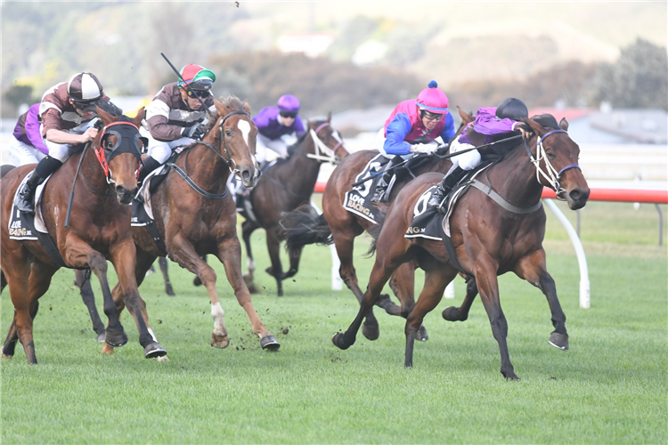 PLATINUM DIAMOND winning the FULL CIRCLE APPEARANCE MEDICINE 2YO