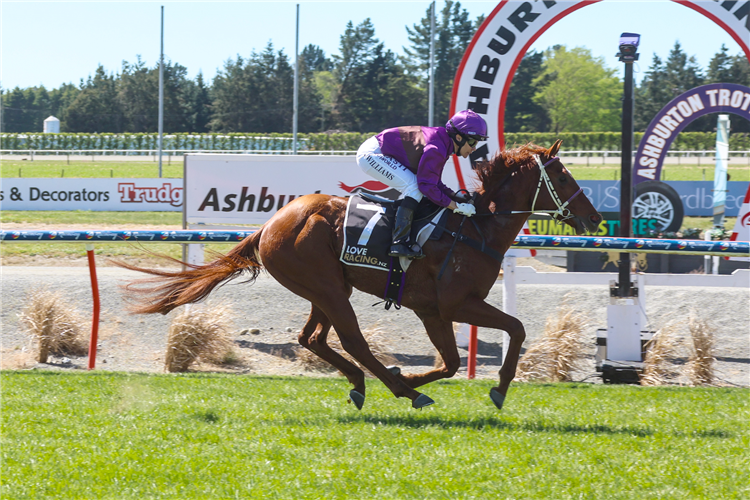 PLATINUM PANTHEON winning the MCCREA FAMILY