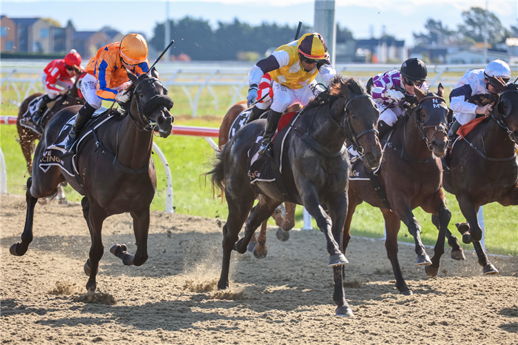 「波加查」（中间）夺冠