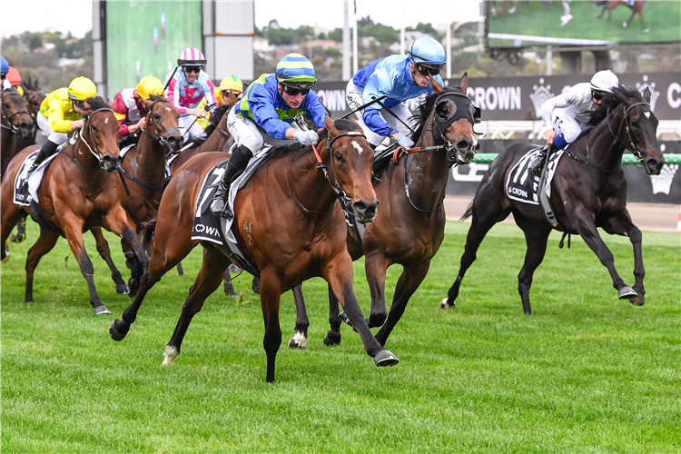 POINT BARROW winning the Red Roses Stakes at Flemington in Australia.