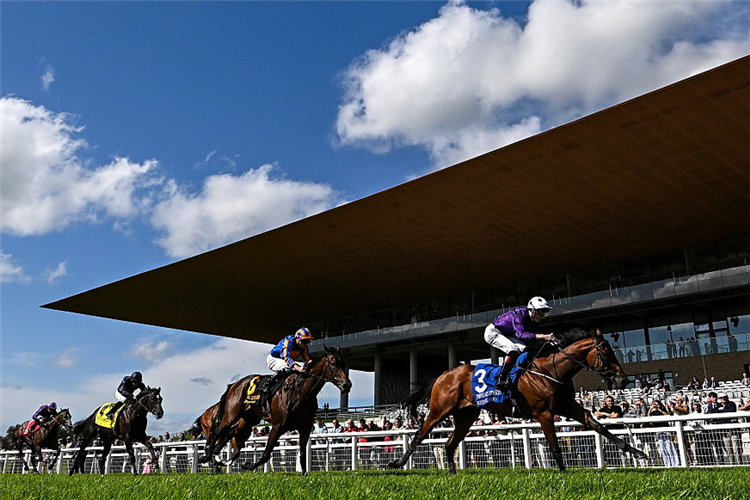 POWER BLUE winning the Phoenix Stakes at Curragh in Kildare.