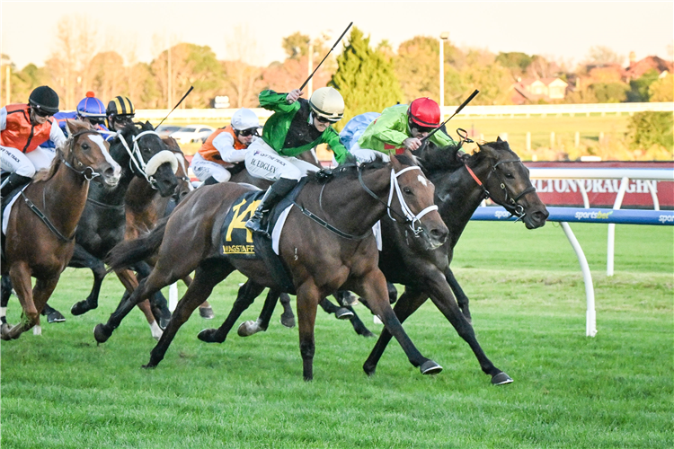 Racing at Caulfield.