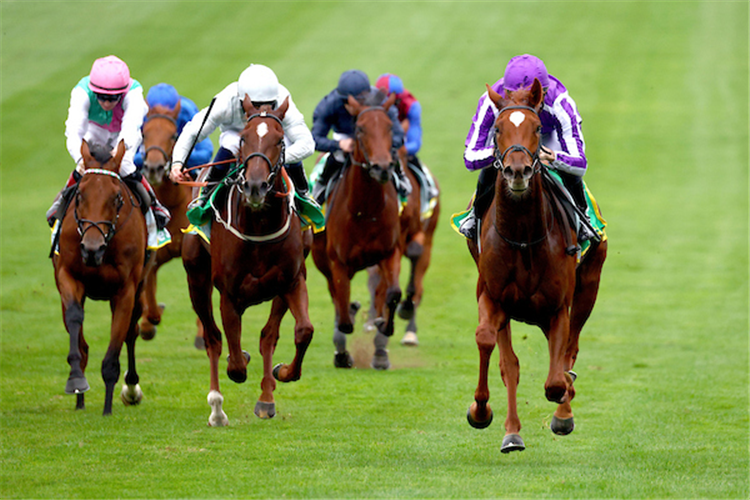 PRECISE (purple cap) winning the Fillies' Mile at Newmarket in England.