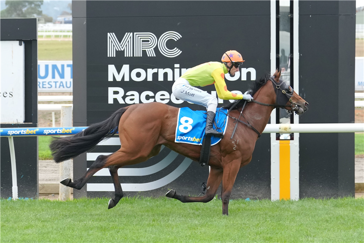 Prestige Snitzel.