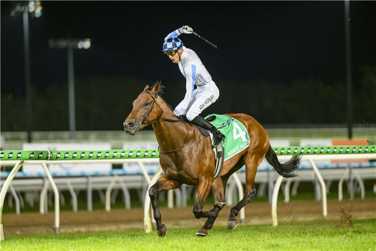 PRIVATE HARRY winning the Tab Magic Millions Sunlight 3Yo Plate (Slot Race)