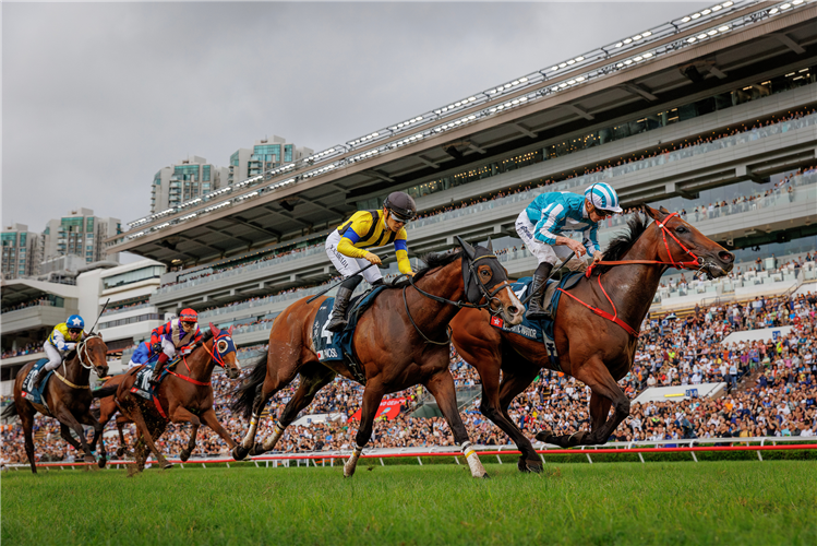 Prognosis (left) has placed twice at Group 1 level in Hong Kong.