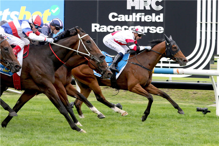 PROVED winning the Sportsbet How Now Stakes